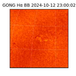 gong - 2024-10-12T23:00:02