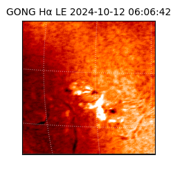 gong - 2024-10-12T06:06:42