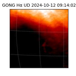 gong - 2024-10-12T09:14:02