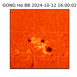 gong - 2024-10-12T16:00:02