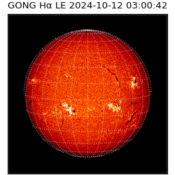 gong - 2024-10-12T03:00:42