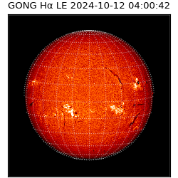 gong - 2024-10-12T04:00:42