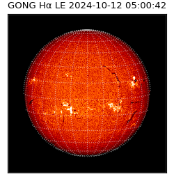 gong - 2024-10-12T05:00:42