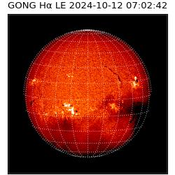 gong - 2024-10-12T07:02:42