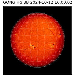 gong - 2024-10-12T16:00:02