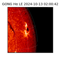 gong - 2024-10-13T02:00:42