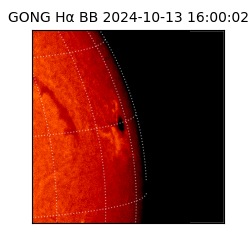 gong - 2024-10-13T16:00:02