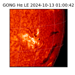 gong - 2024-10-13T01:00:42