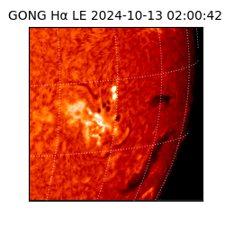 gong - 2024-10-13T02:00:42