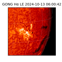 gong - 2024-10-13T06:00:42