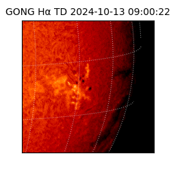 gong - 2024-10-13T09:00:22