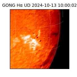 gong - 2024-10-13T10:00:02