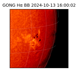 gong - 2024-10-13T16:00:02