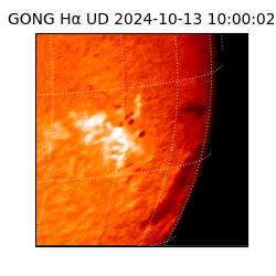 gong - 2024-10-13T10:00:02