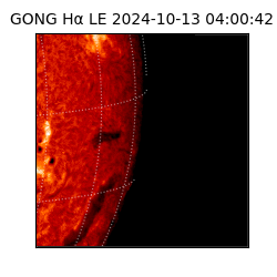 gong - 2024-10-13T04:00:42