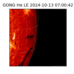 gong - 2024-10-13T07:00:42