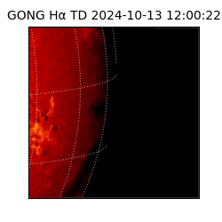 gong - 2024-10-13T12:00:22
