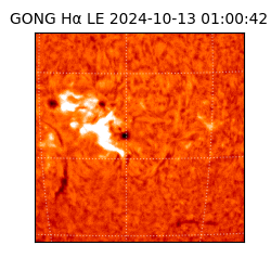 gong - 2024-10-13T01:00:42