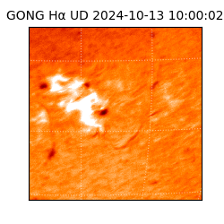 gong - 2024-10-13T10:00:02