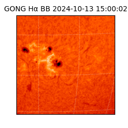 gong - 2024-10-13T15:00:02