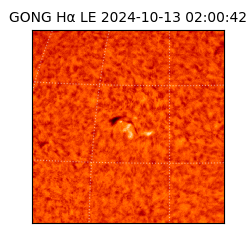 gong - 2024-10-13T02:00:42