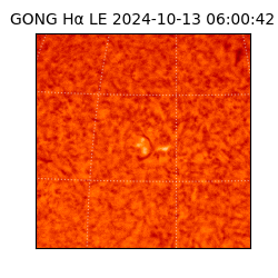 gong - 2024-10-13T06:00:42