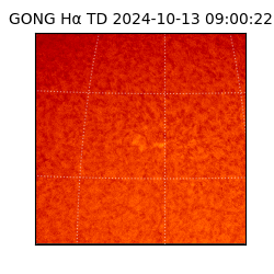 gong - 2024-10-13T09:00:22