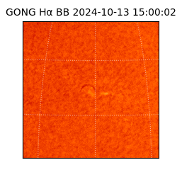 gong - 2024-10-13T15:00:02