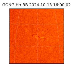 gong - 2024-10-13T16:00:02