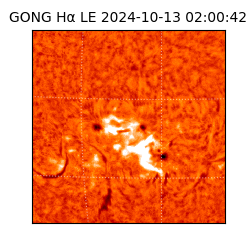 gong - 2024-10-13T02:00:42