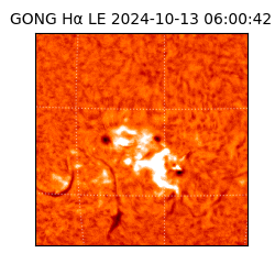 gong - 2024-10-13T06:00:42