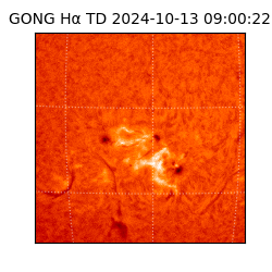 gong - 2024-10-13T09:00:22