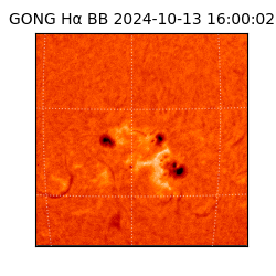 gong - 2024-10-13T16:00:02