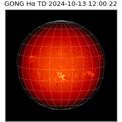 gong - 2024-10-13T12:00:22