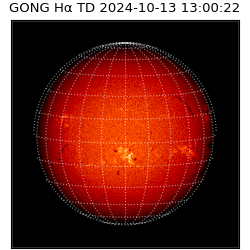 gong - 2024-10-13T13:00:22