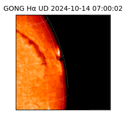 gong - 2024-10-14T07:00:02