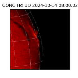 gong - 2024-10-14T08:00:02