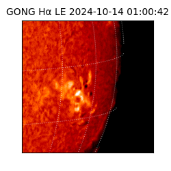 gong - 2024-10-14T01:00:42