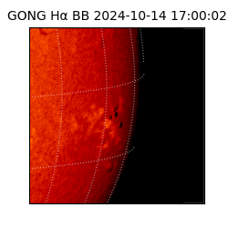 gong - 2024-10-14T17:00:02
