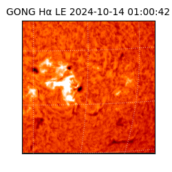 gong - 2024-10-14T01:00:42