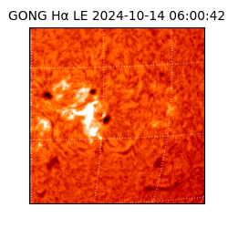 gong - 2024-10-14T06:00:42