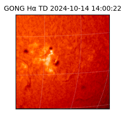 gong - 2024-10-14T14:00:22