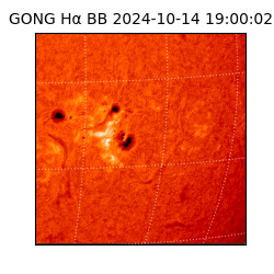 gong - 2024-10-14T19:00:02