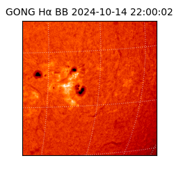 gong - 2024-10-14T22:00:02