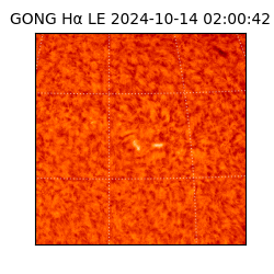 gong - 2024-10-14T02:00:42