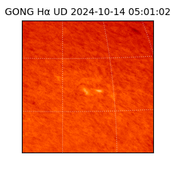 gong - 2024-10-14T05:01:02