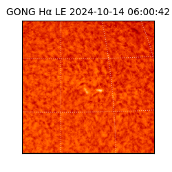 gong - 2024-10-14T06:00:42