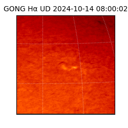 gong - 2024-10-14T08:00:02