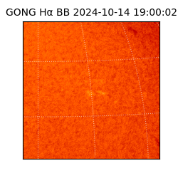 gong - 2024-10-14T19:00:02