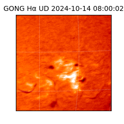 gong - 2024-10-14T08:00:02